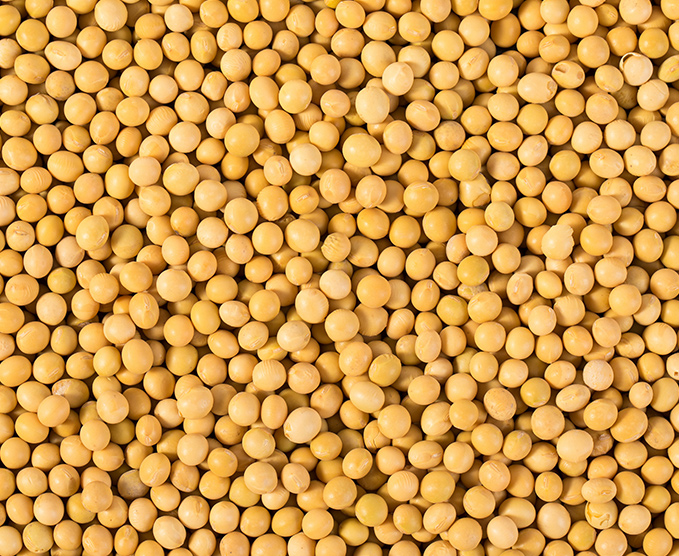 專業團隊 資質齊全